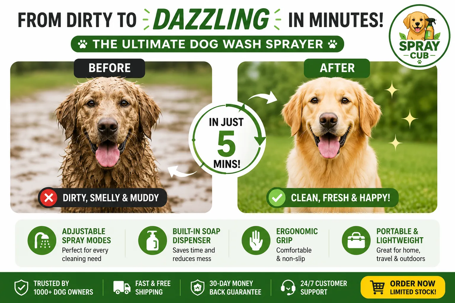 Before and after dog grooming transformation
